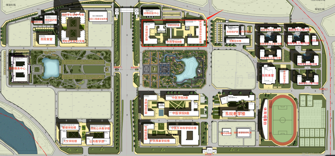 北京中医药大学2026年博士研究生考试复试通知(中药学院)