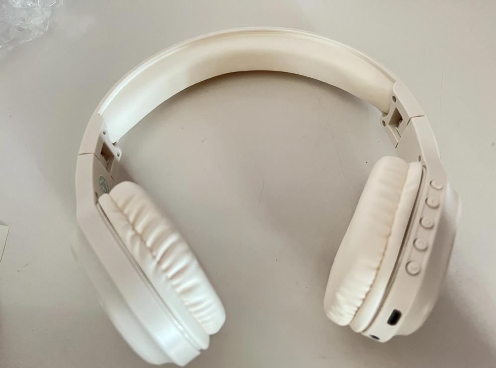 福建中医药大学2026年统考博士准考证下载通知